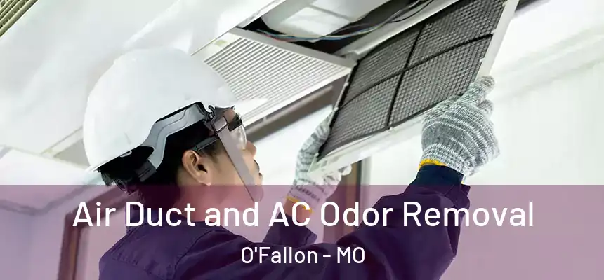 Air Duct and AC Odor Removal O'Fallon - MO
