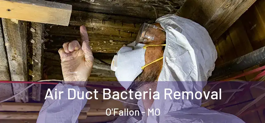 Air Duct Bacteria Removal O'Fallon - MO