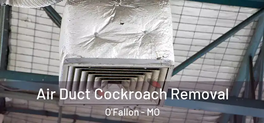 Air Duct Cockroach Removal O'Fallon - MO