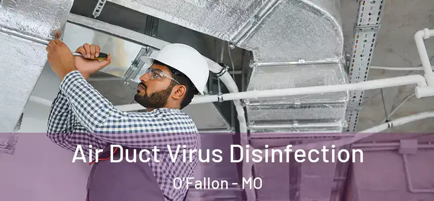 Air Duct Virus Disinfection O'Fallon - MO