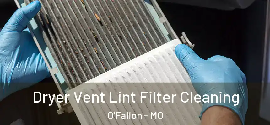Dryer Vent Lint Filter Cleaning O'Fallon - MO