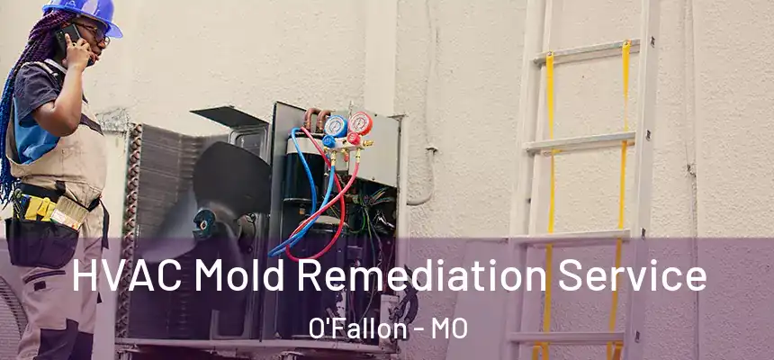 HVAC Mold Remediation Service O'Fallon - MO