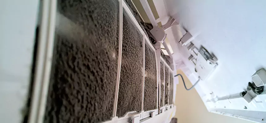 Preventive Air Duct Bacteria Removal in O'Fallon