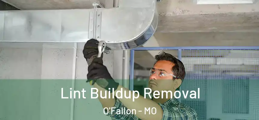 Lint Buildup Removal O'Fallon - MO