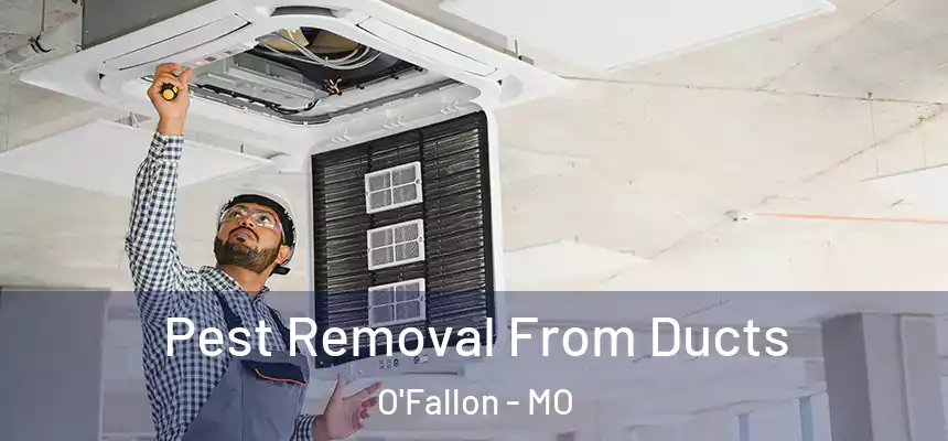 Pest Removal From Ducts O'Fallon - MO