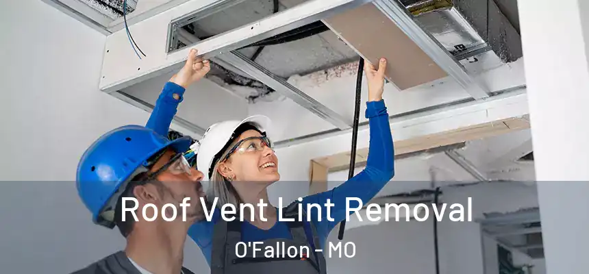 Roof Vent Lint Removal O'Fallon - MO