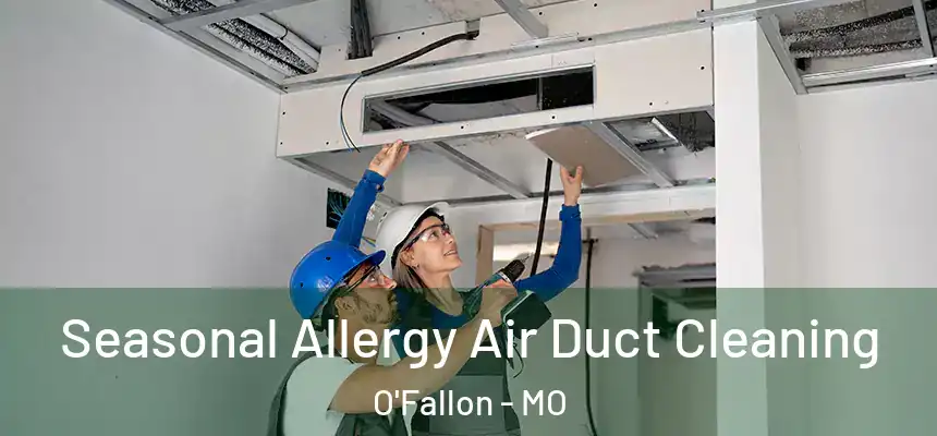 Seasonal Allergy Air Duct Cleaning O'Fallon - MO