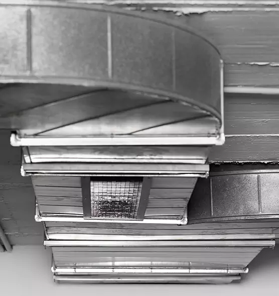 Professional Air Duct Pest Removal in O'Fallon, MO