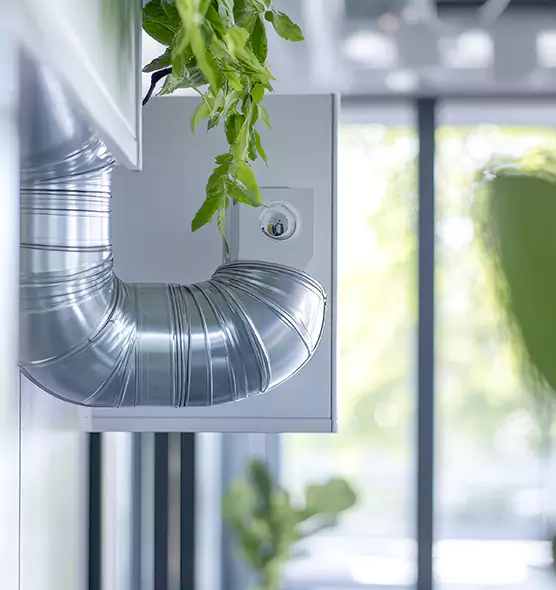 Professional Eco-Friendly Duct Cleaning Services in O'Fallon, MO