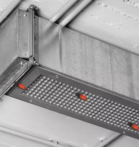 Affordable Insect Removal from Air Ducts in O'Fallon, MO