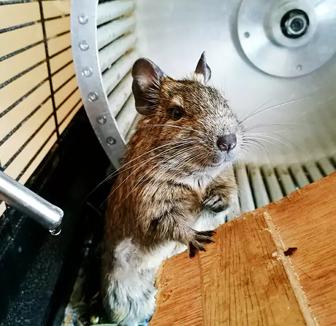 Why Homeowners & Businesses Trust Us O'Fallon, MO?