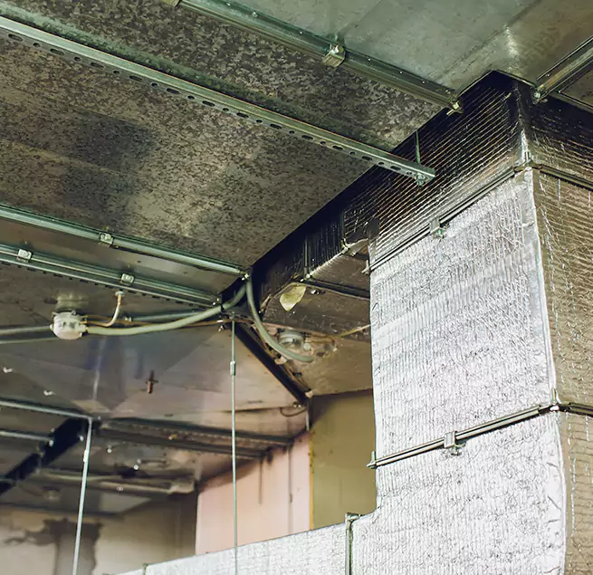 Why Homeowners & Businesses Trust Us in O'Fallon, MO?